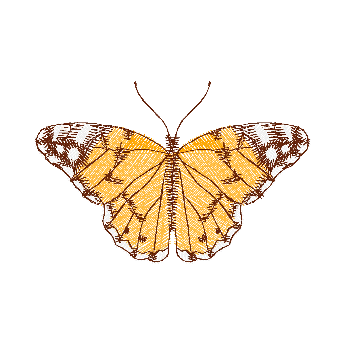 Diseño 16