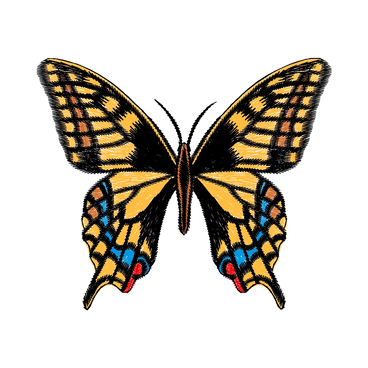 Diseño 24