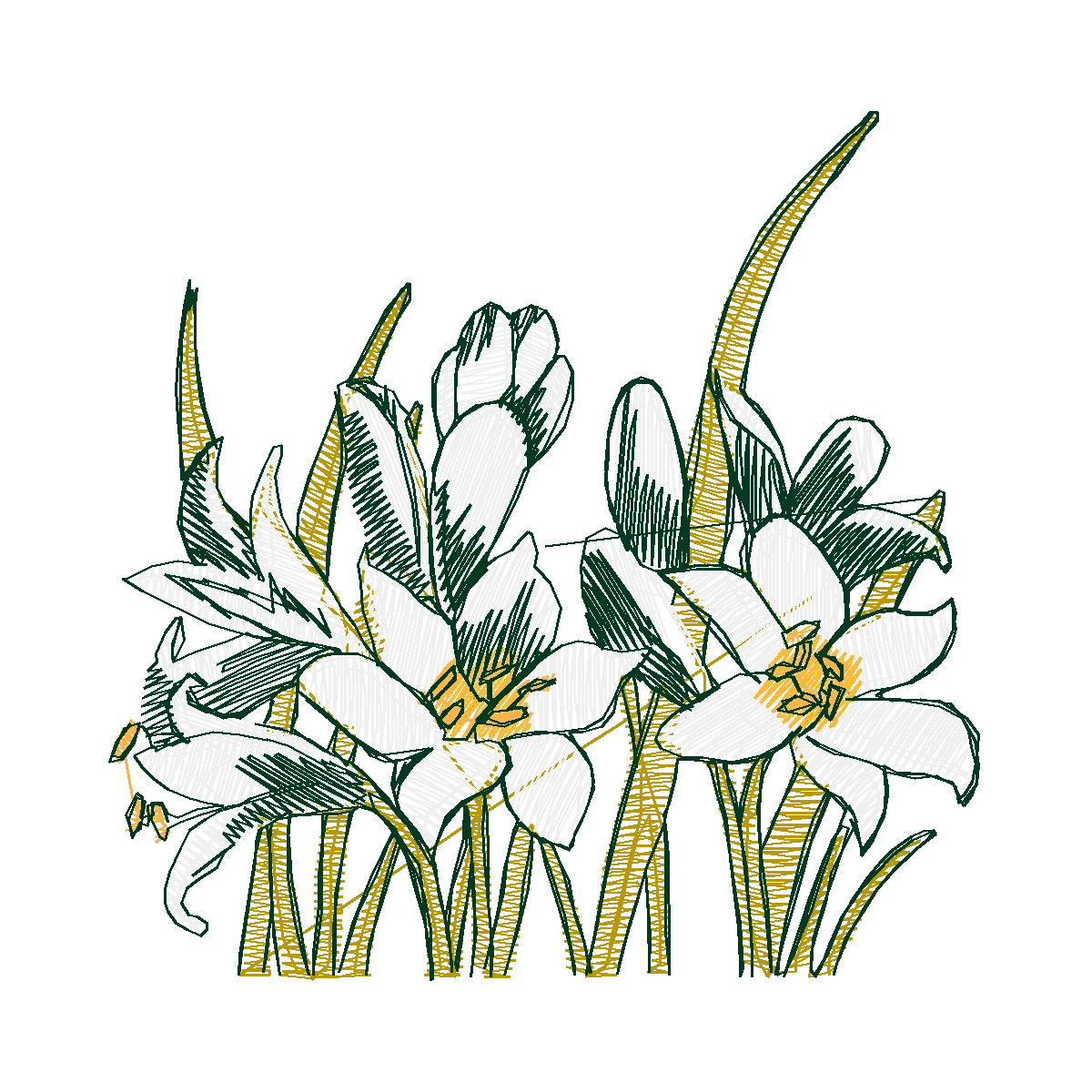 Diseño 44343