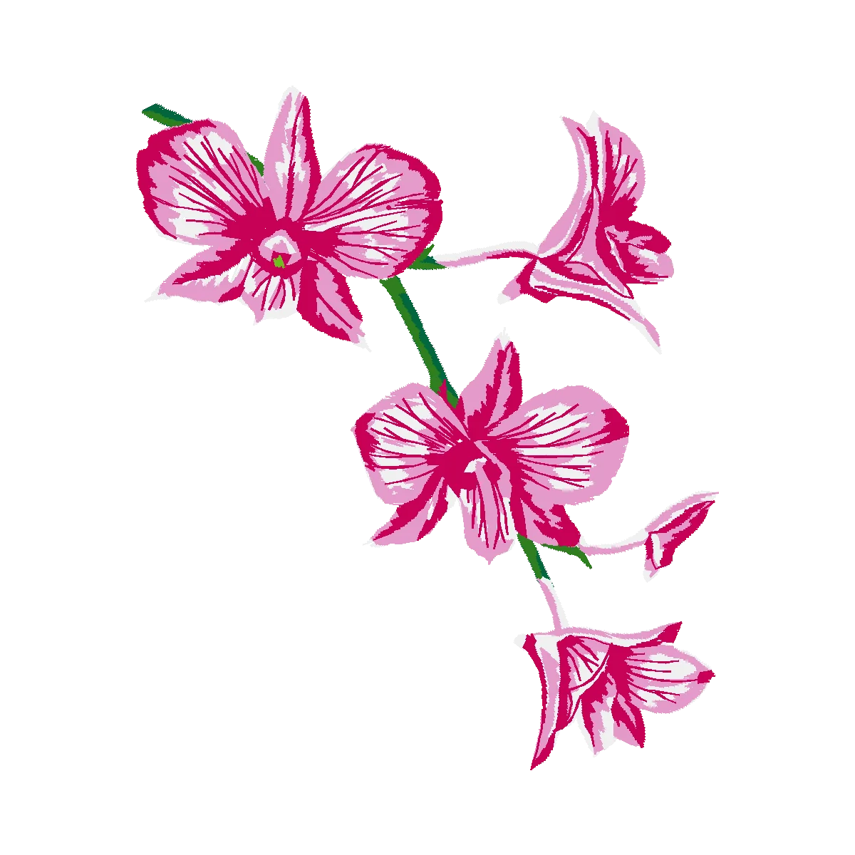 Diseño 48004