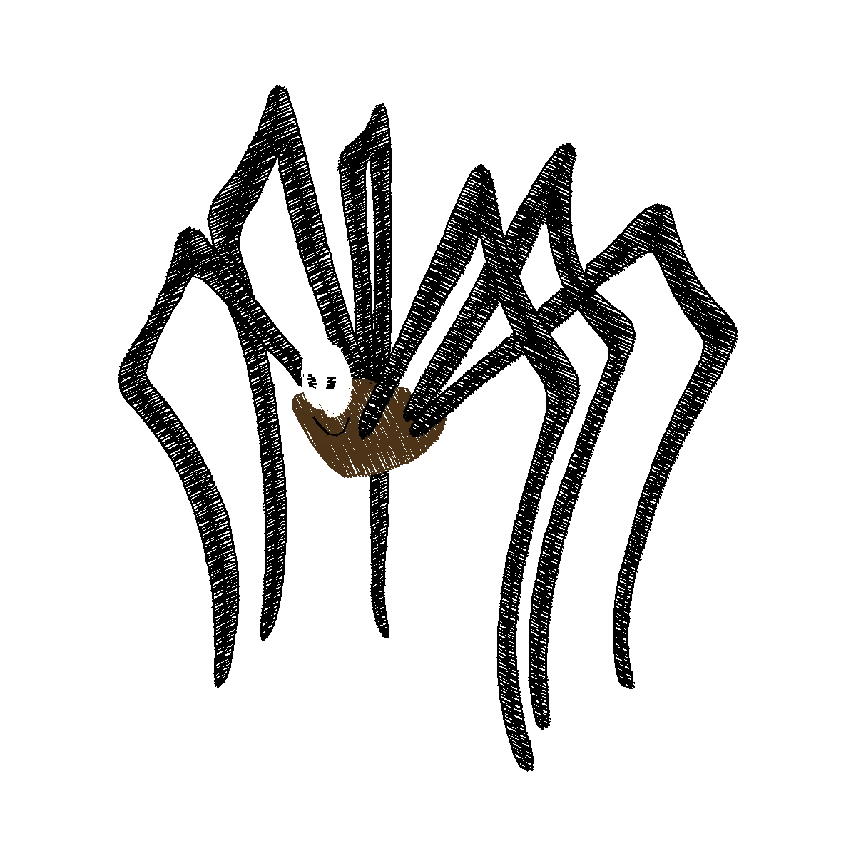 Diseño arana