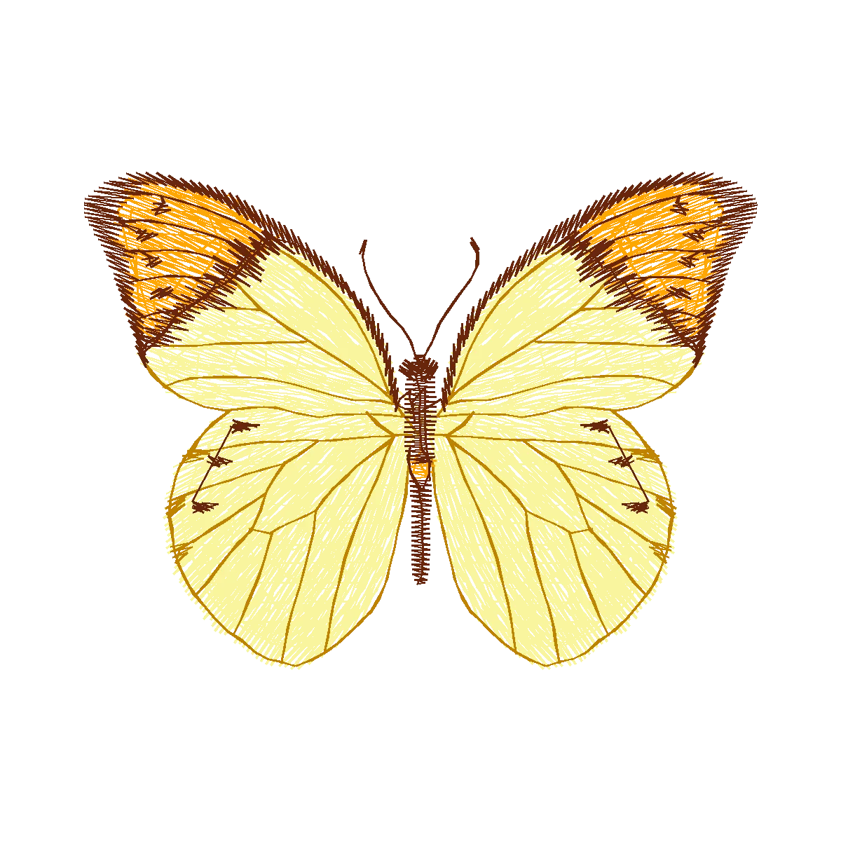 Diseño 19