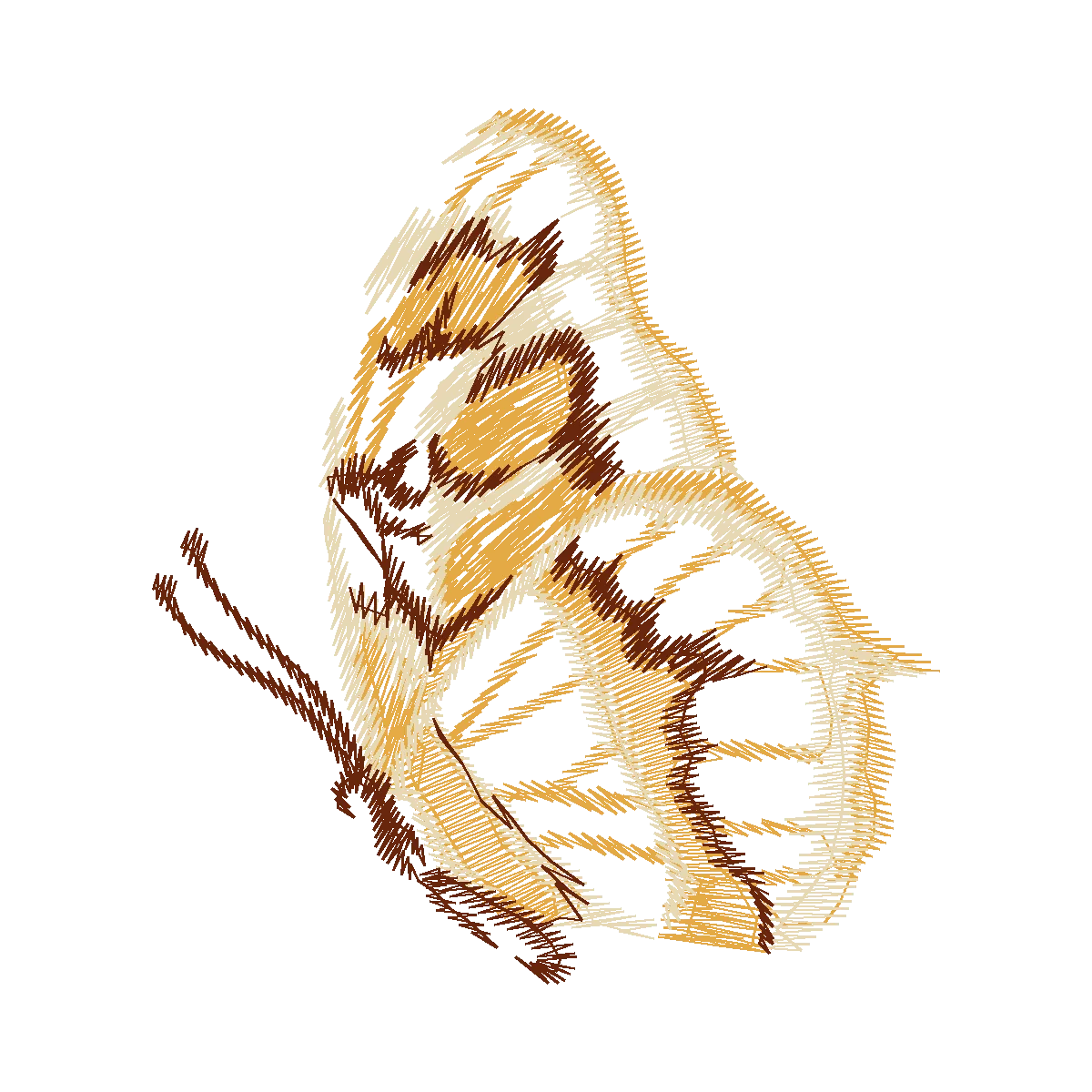 Diseño 20
