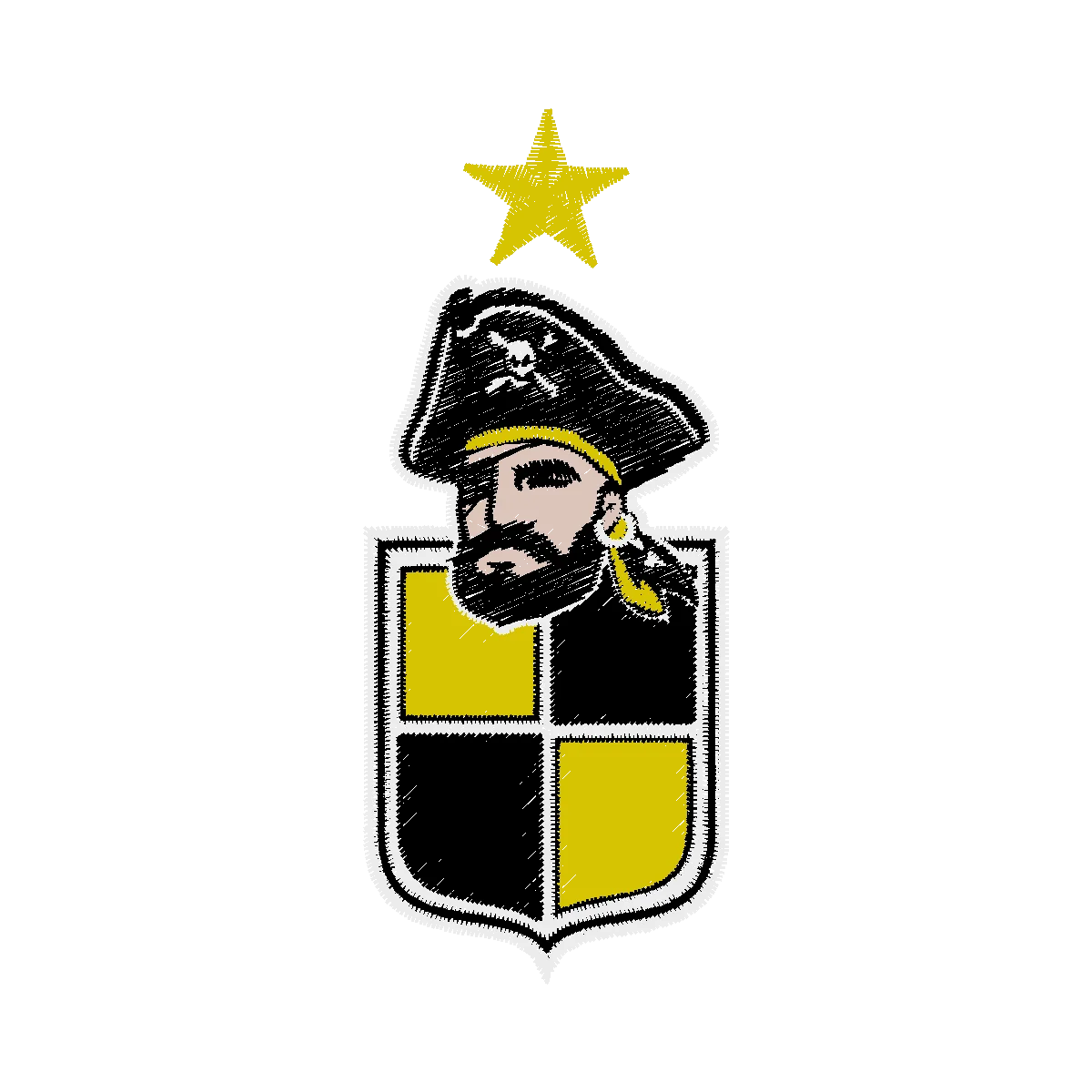 Diseño coquimbo9