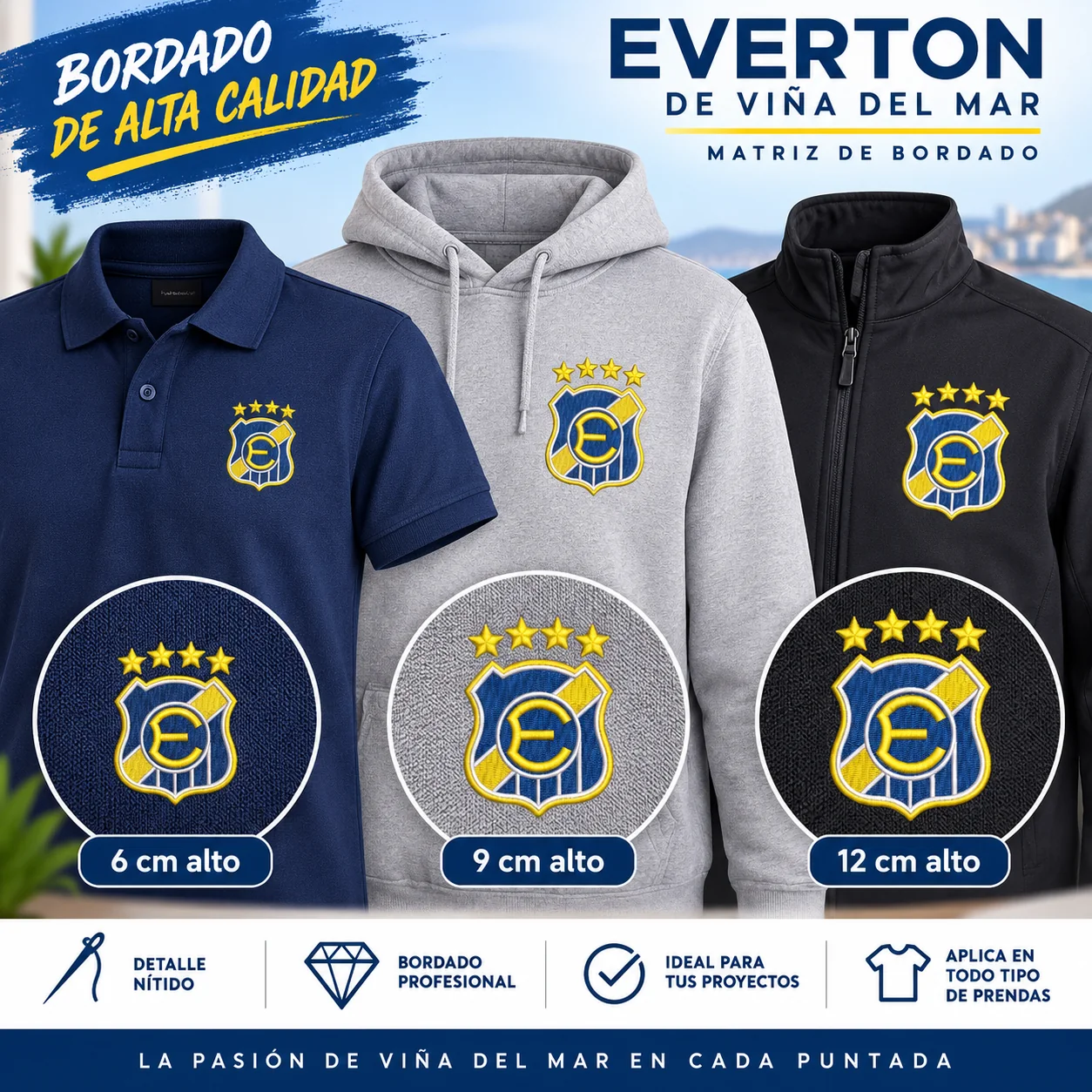 3 Matrices Club Deportivo Everton de Viña del Mar