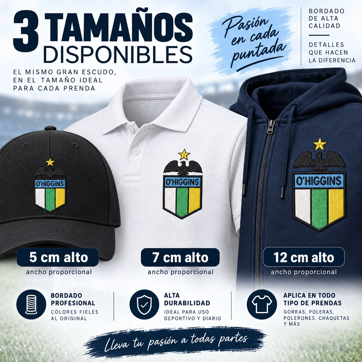 3 Matrices Club Deportivo O'Higgins de Rancagua