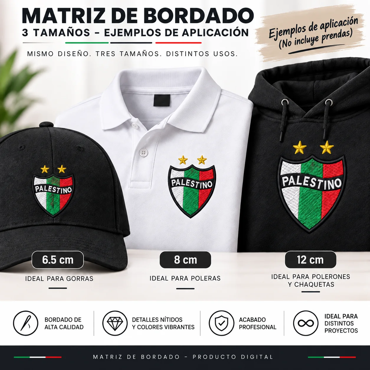 3 Matrices Club Deportivo Palestino