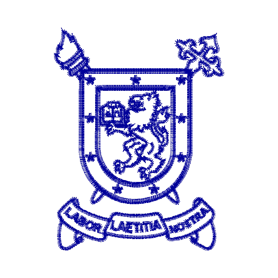 Diseño usachuncolor