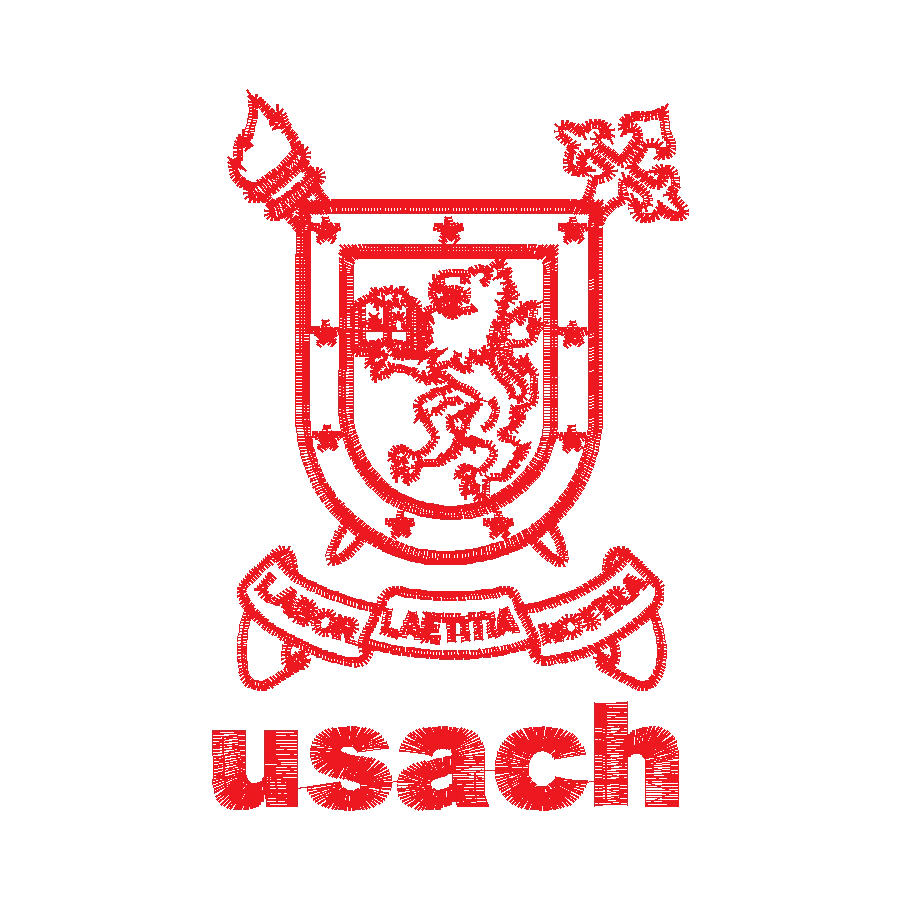 Diseño USACH001