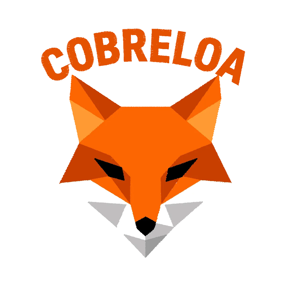 Diseño ZORRO 12