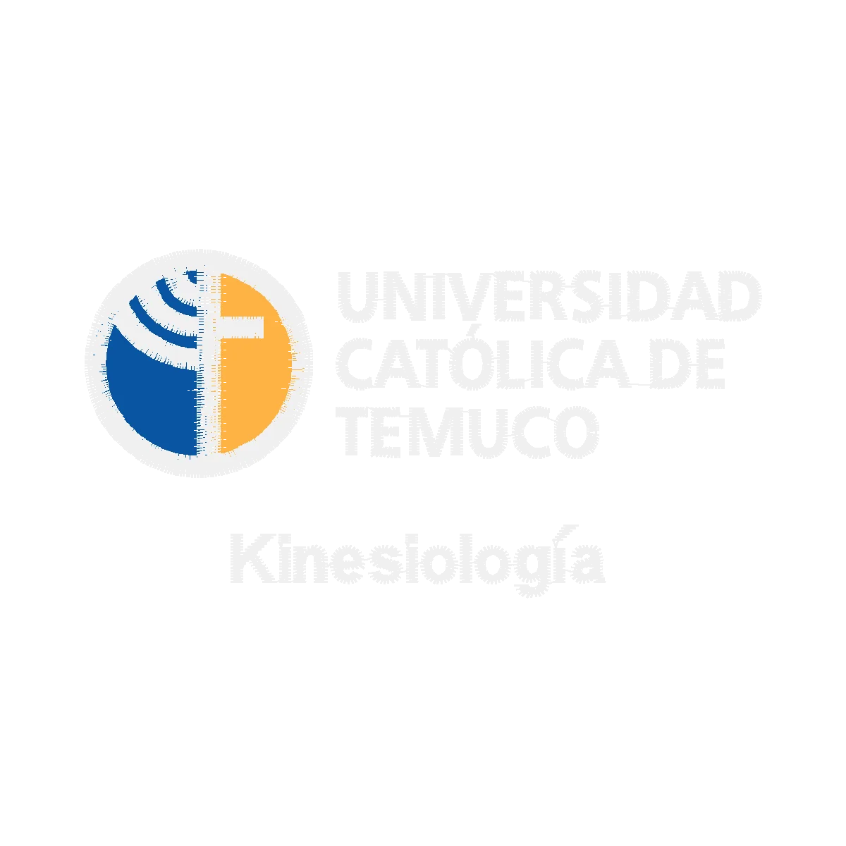 Diseño temuco kine