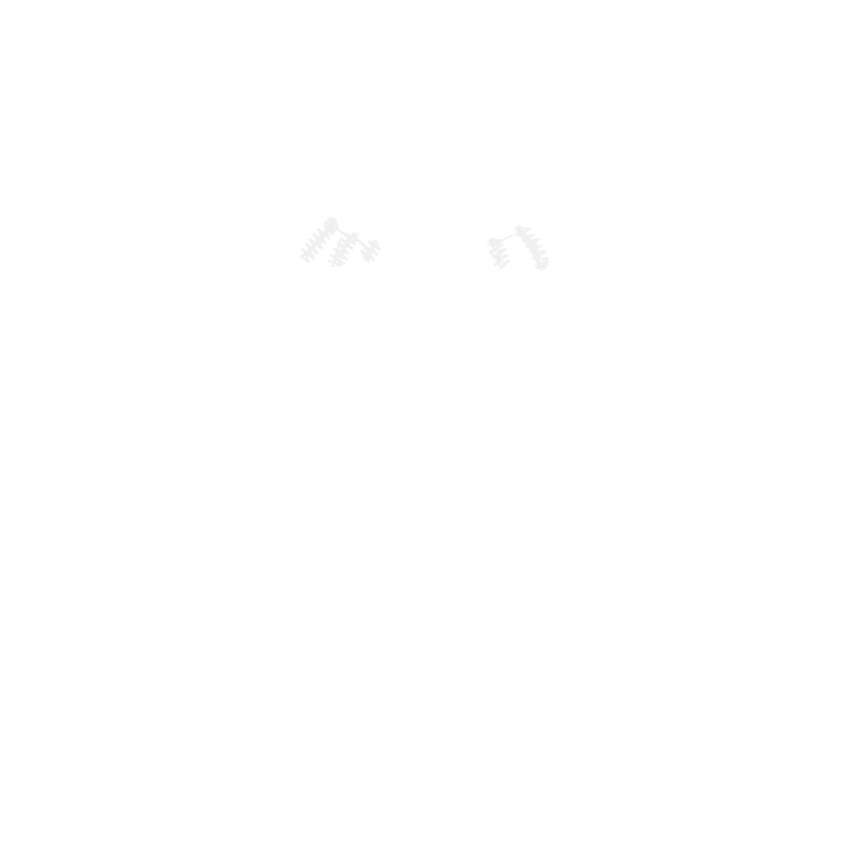 Diseño onepiecebn4