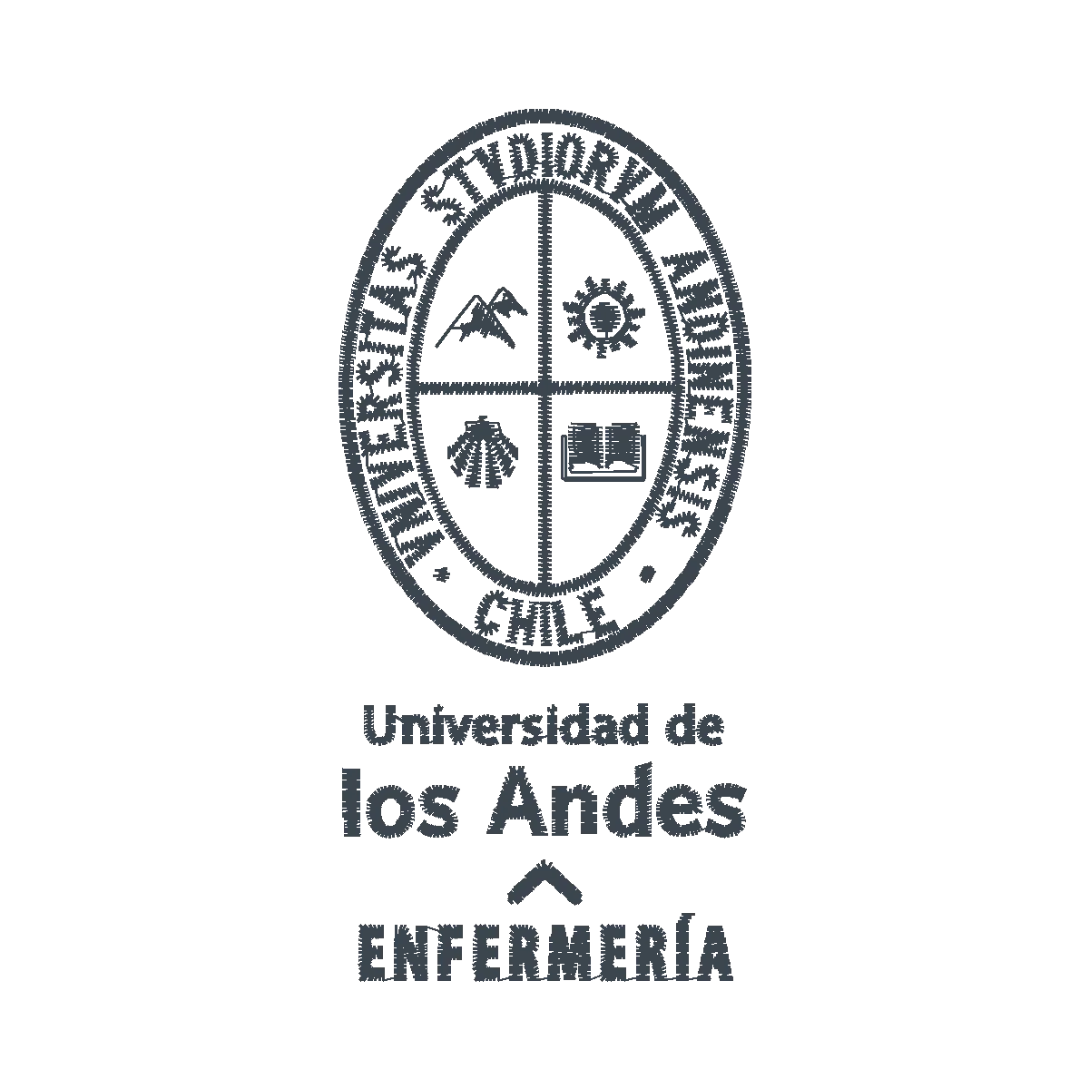 Diseño uandes_enfermeria