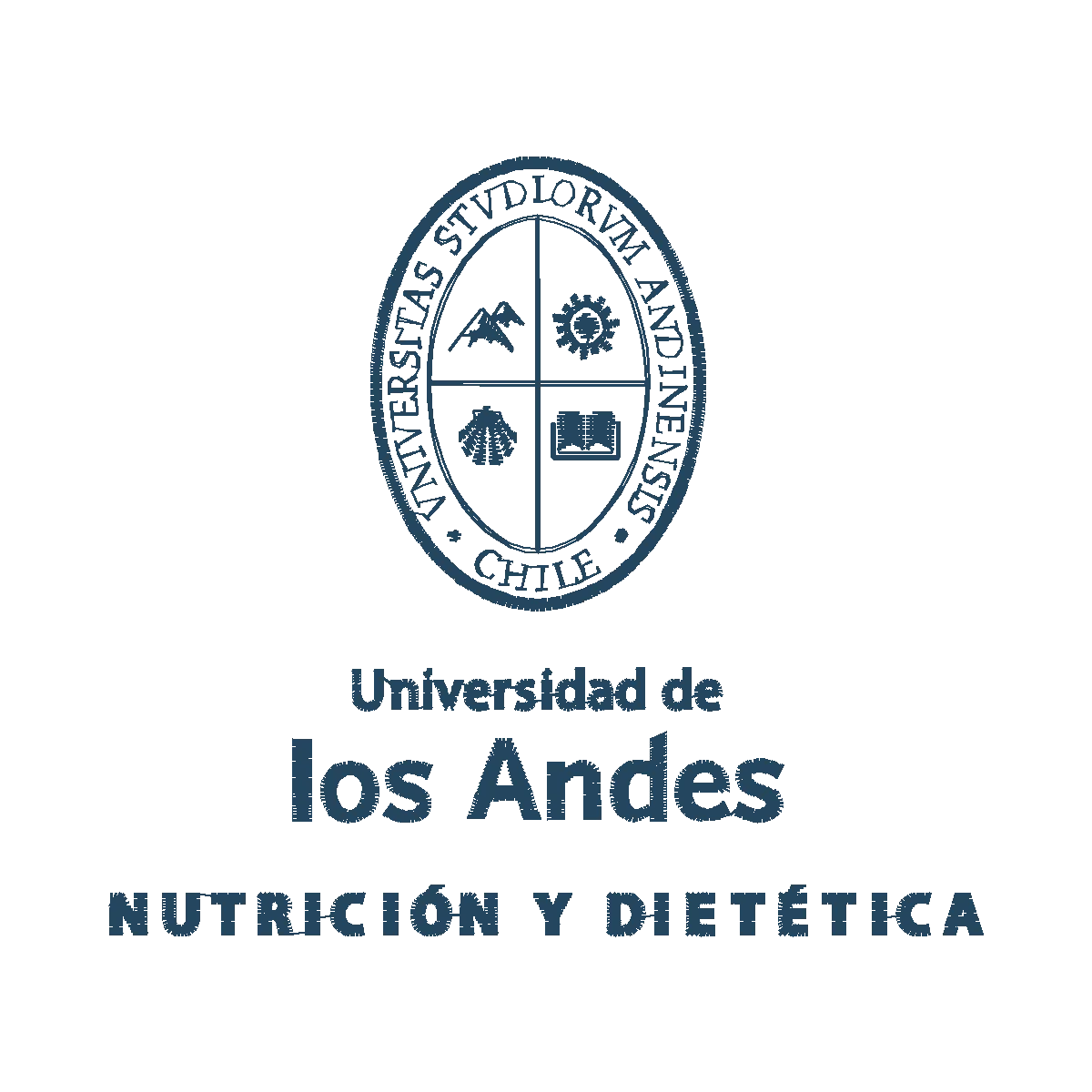 Diseño uandes-nd
