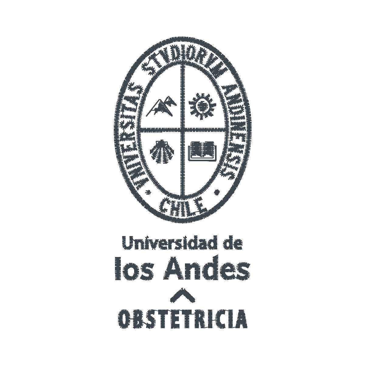 Diseño uandes_obst