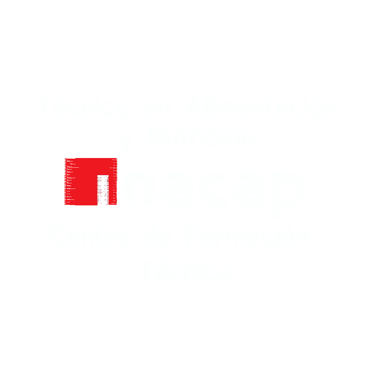 Diseño tec alimentacion