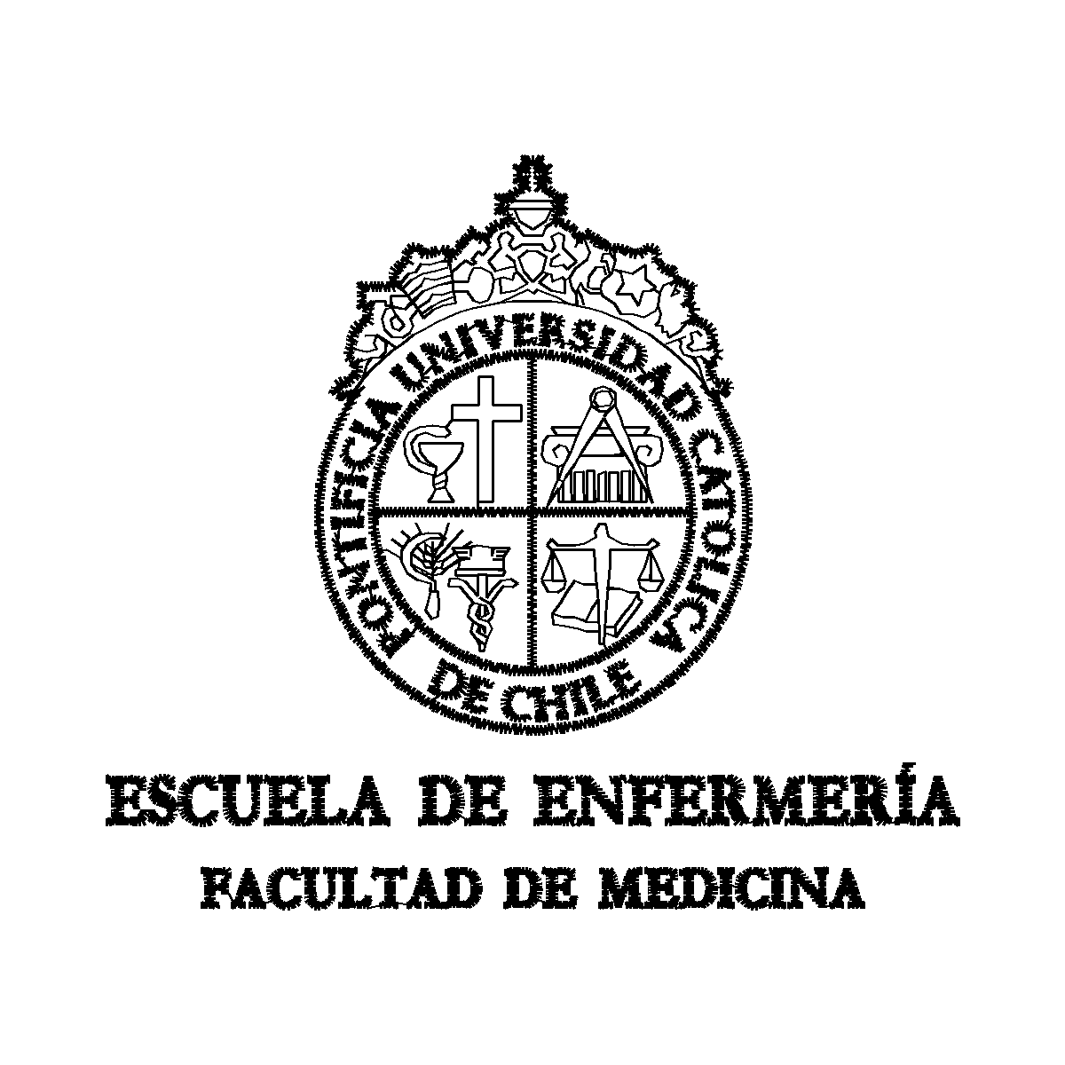 Diseño enfermeria puc