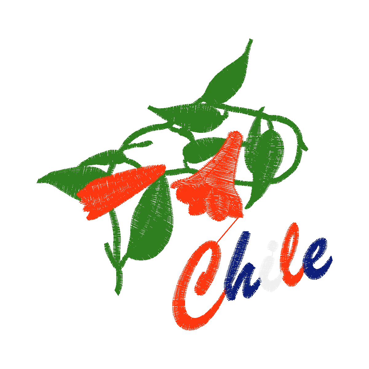 Diseño COPIHUE CHILE