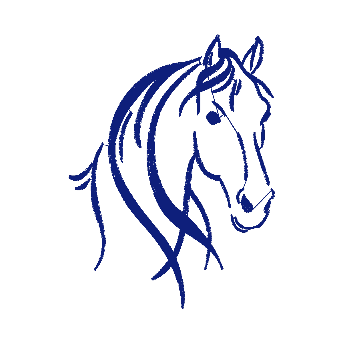 Diseño CABALLO MI