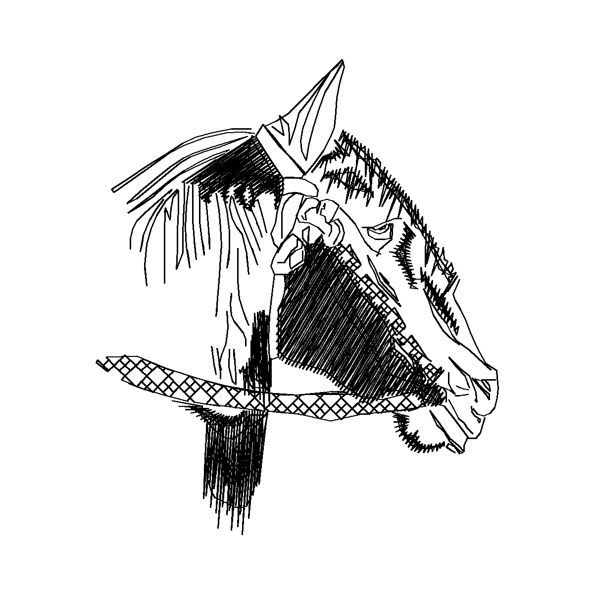 Diseño caballo1