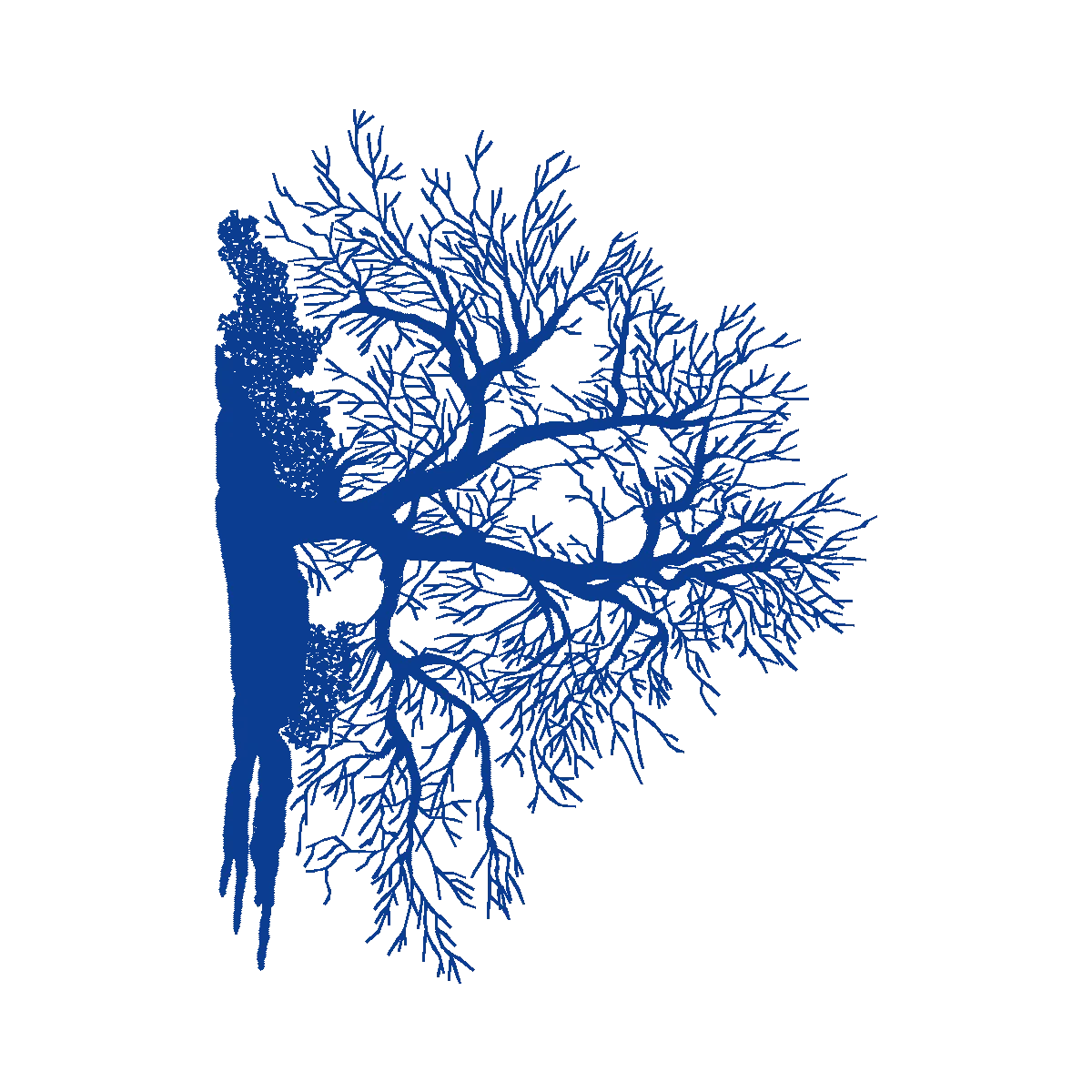 Diseño Pltr1016