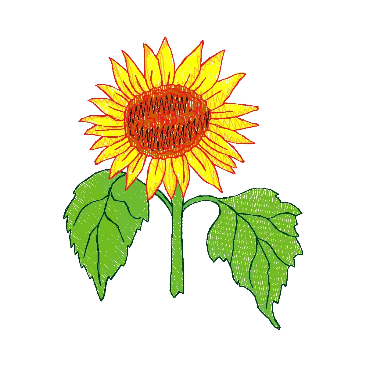 Diseño 84833