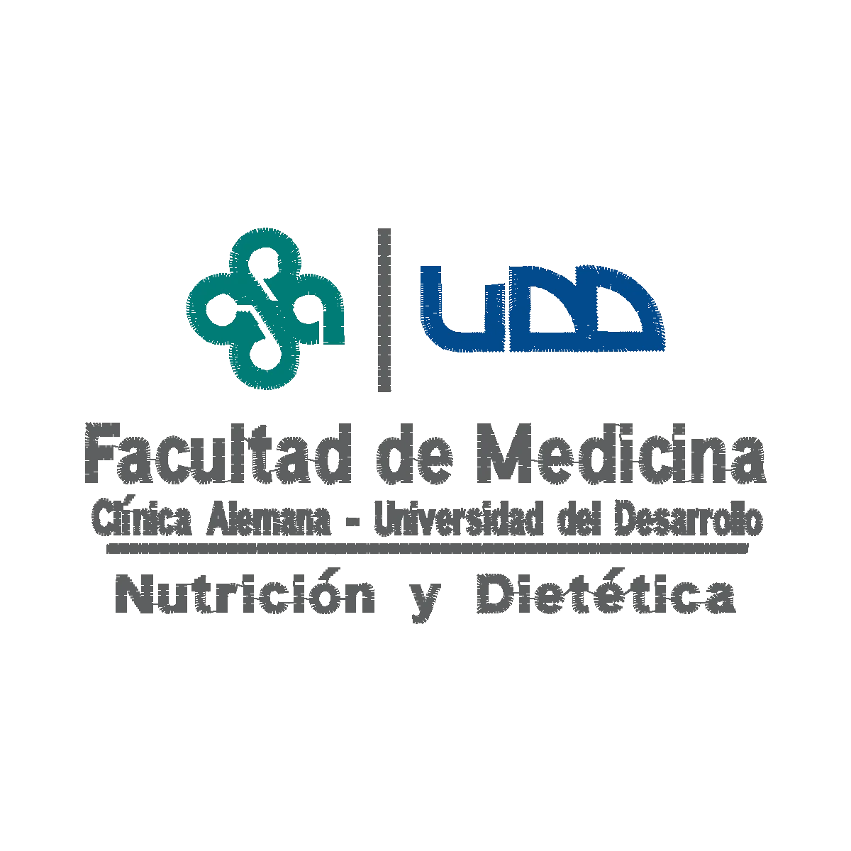 Diseño udd_nyd