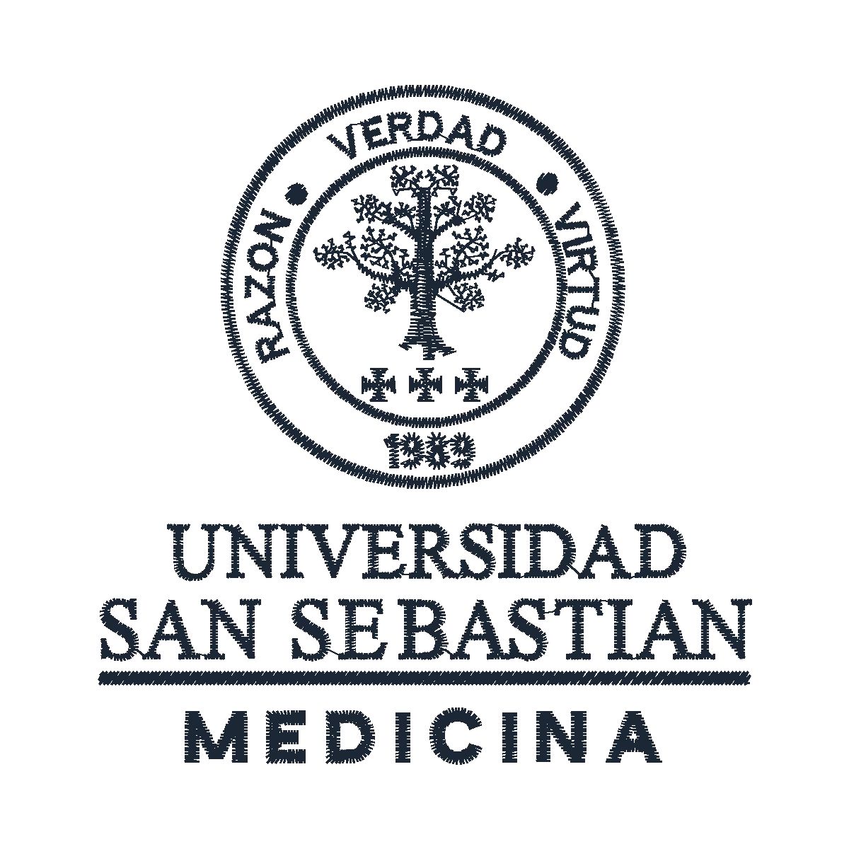Diseño USS MEDICINA
